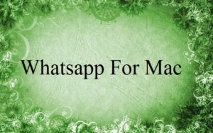 whatsapp app for mac download